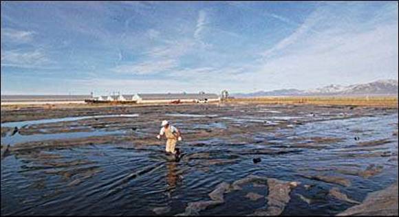 lagoa de dejetos, imensa e de cheiro repugnante